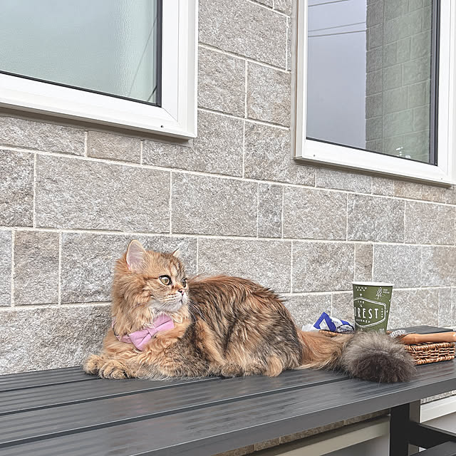miyu39さんの部屋