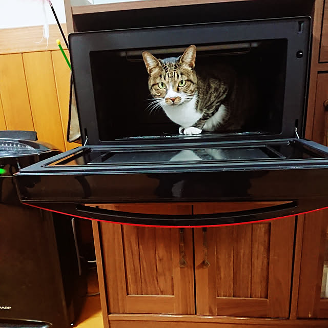 nachiさんの実例写真