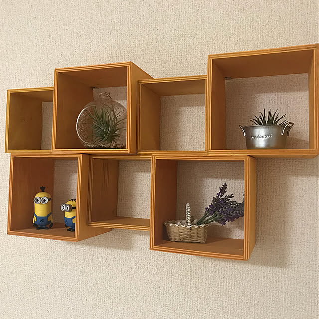 umeboshi08さんの実例写真