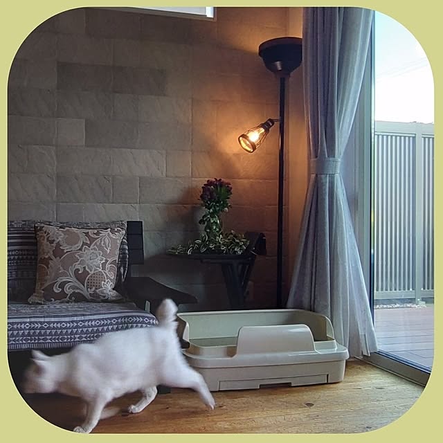 38catさんの実例写真