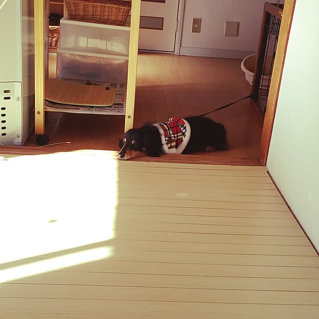 yuuさんの実例写真