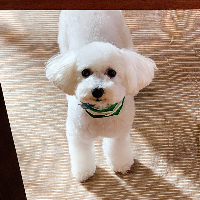 yuuさんの実例写真