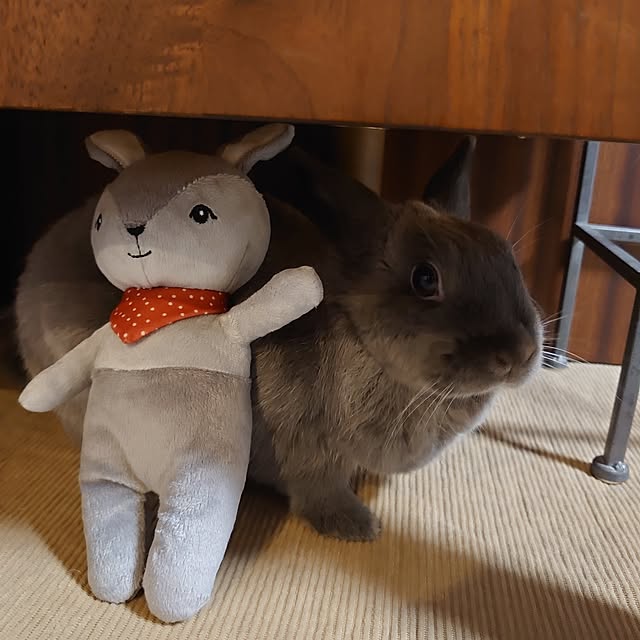 kirariさんの部屋