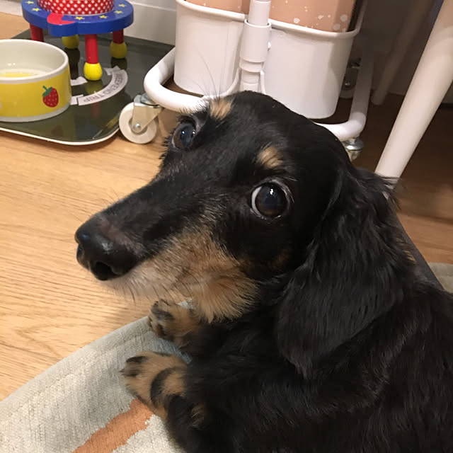 youmitsuさんの実例写真
