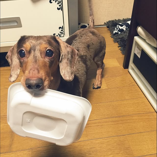 M.E.Gさんの実例写真