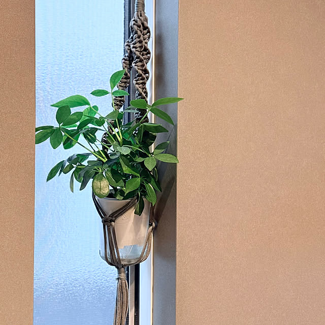 sakiさんの部屋