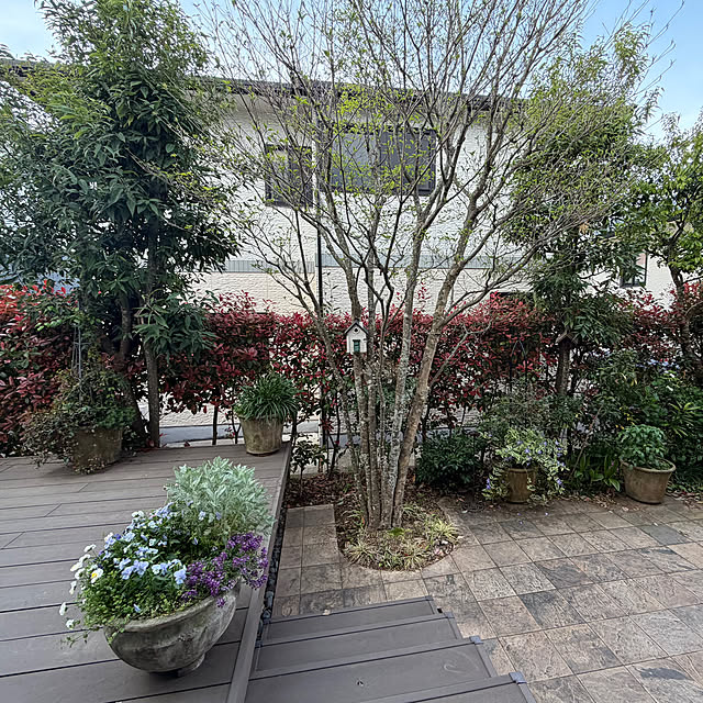 Yumiさんの実例写真