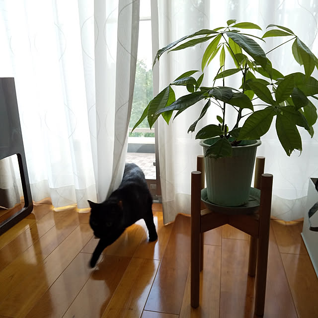 haruissaさんの実例写真