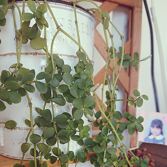 tomoさんの実例写真