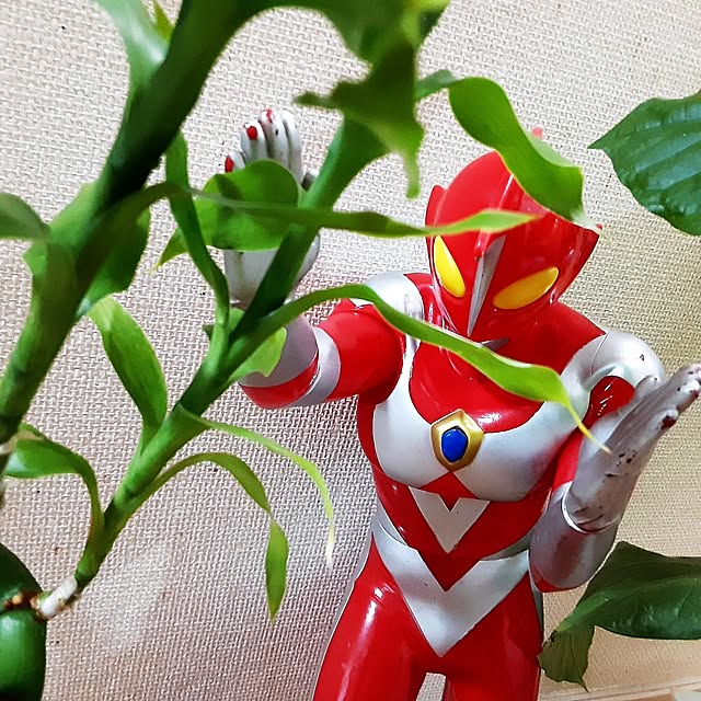 katさんの部屋
