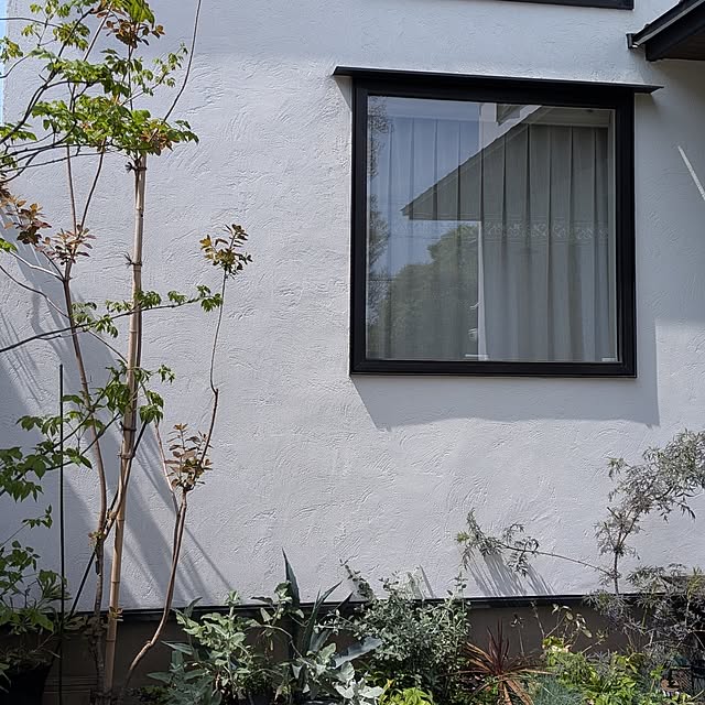 nolleyさんの部屋