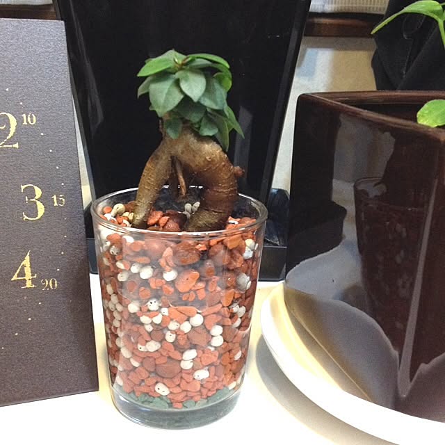 実例写真