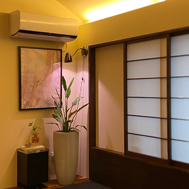 Tomokoさんの部屋