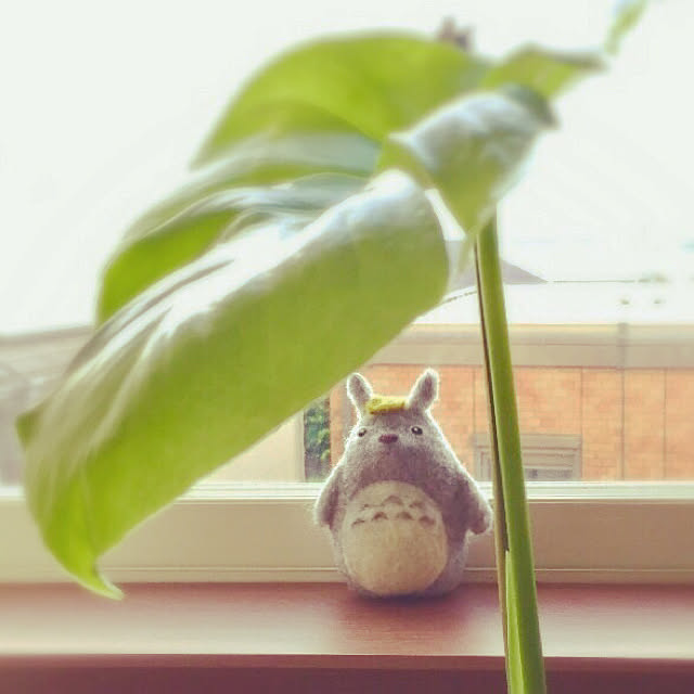muuさんの実例写真
