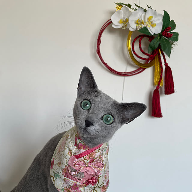 chicaさんの実例写真