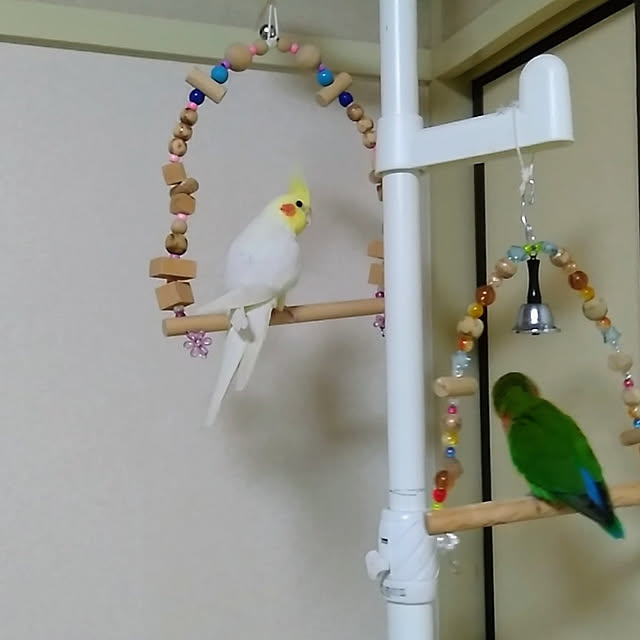 toratanさんの実例写真