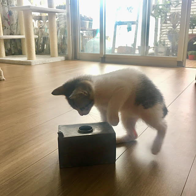 Youさんの実例写真