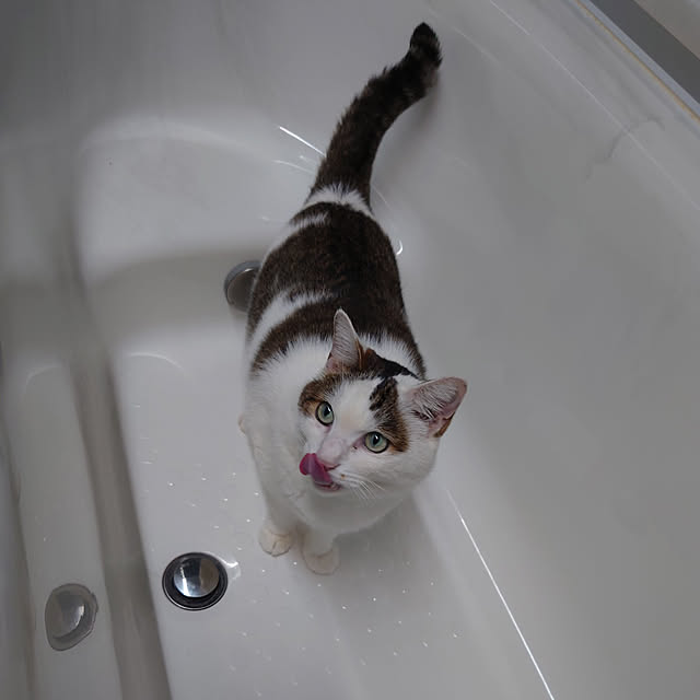 yamatoさんの実例写真