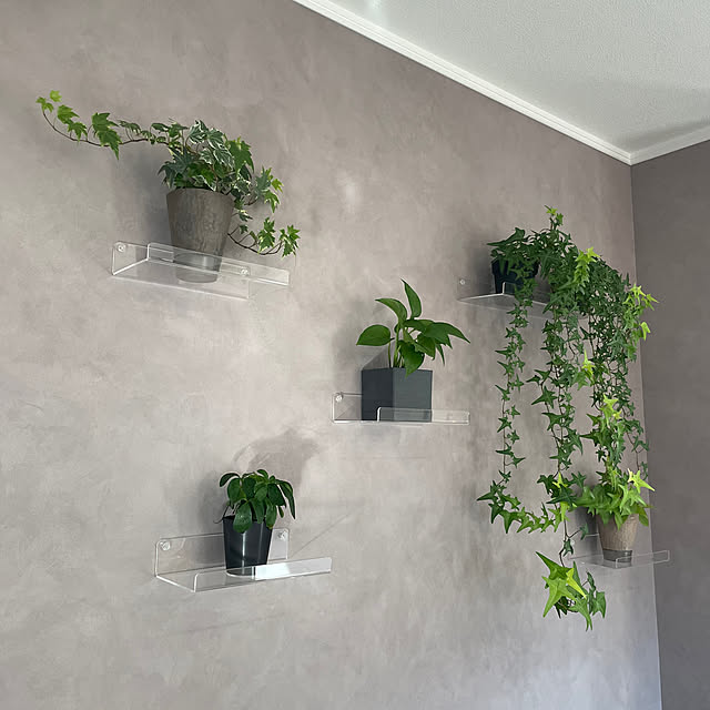 busukaさんの実例写真