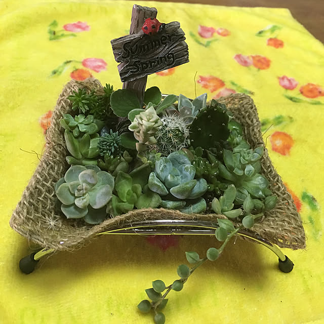 nanaさんの実例写真