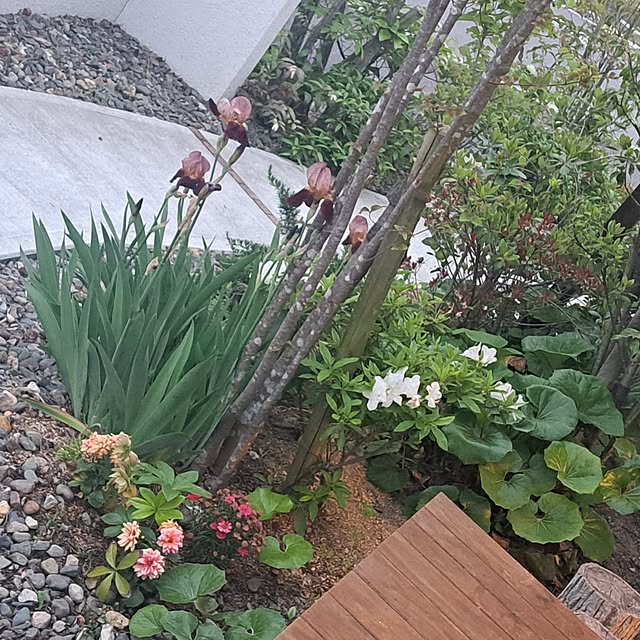 Saranさんの実例写真
