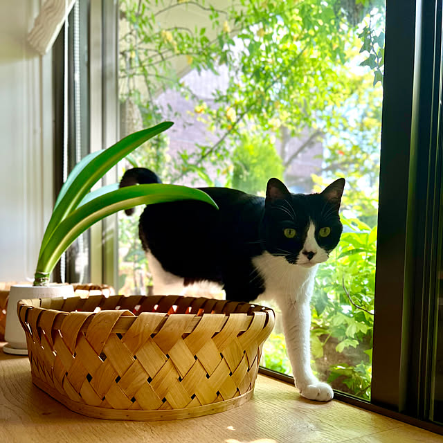 pooさんの部屋
