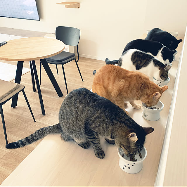 neko_daisukiさんの実例写真