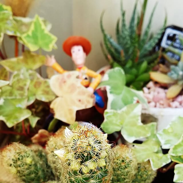 実例写真