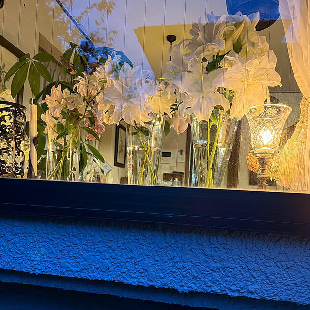 mamizaさんの部屋