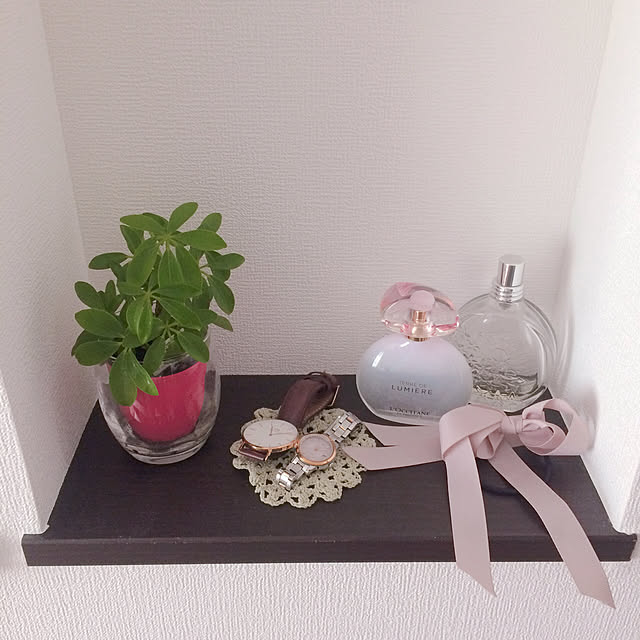 玄関/入り口/雑貨/100均/観葉植物のインテリア実例 - 2018-10-08 11:14:28