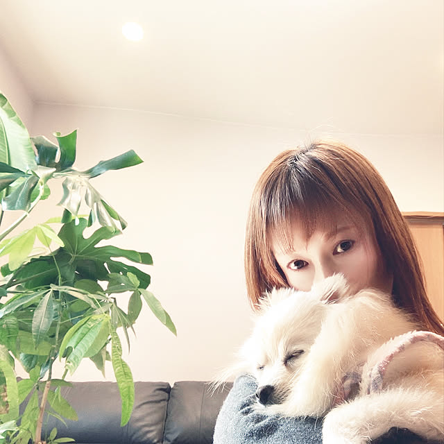 1546さんの実例写真