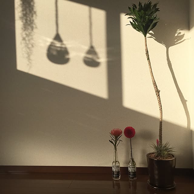 michiruさんの実例写真