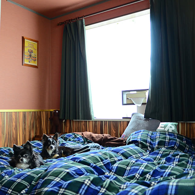 hitomixさんの実例写真