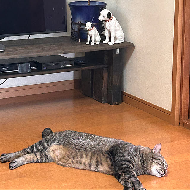 mikan161さんの実例写真