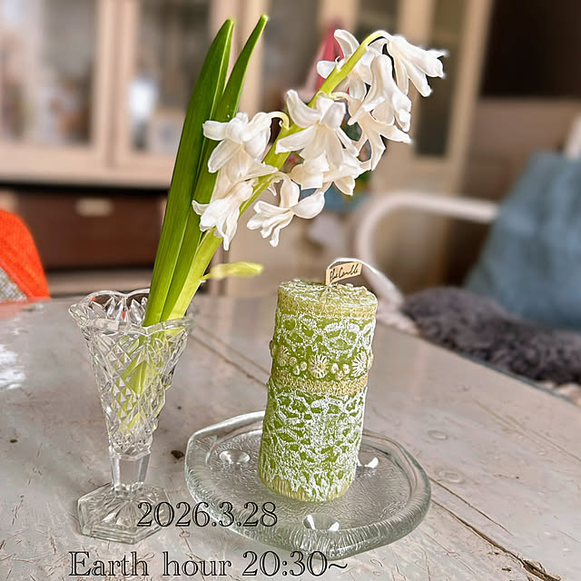 akaidarumaさんの実例写真