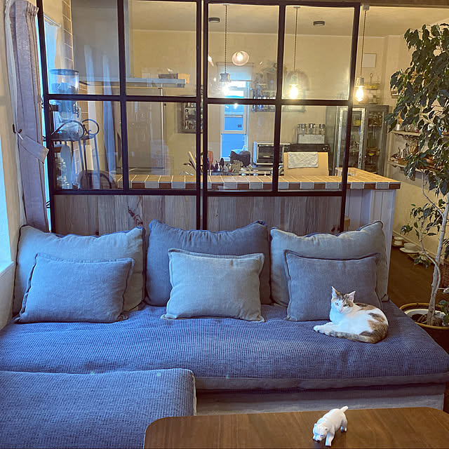 jill_lowさんの実例写真