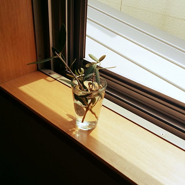 morokyuさんの実例写真
