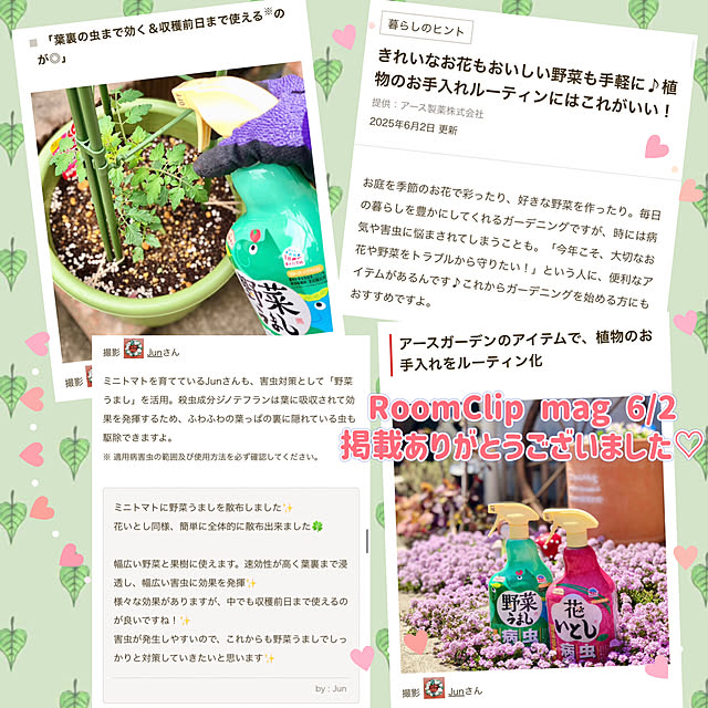 Junさんの実例写真
