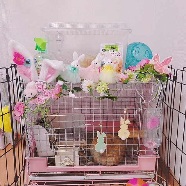 purinさんの実例写真