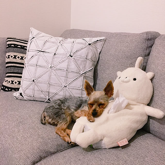 yuminnieさんの実例写真
