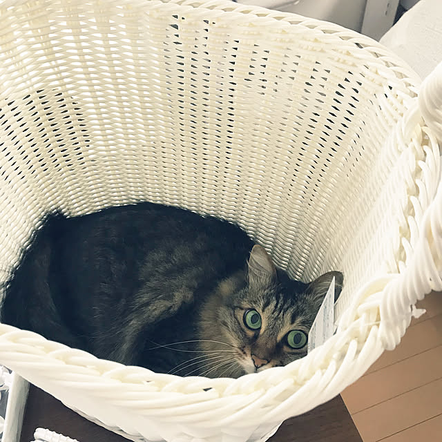 yuki0511さんの実例写真