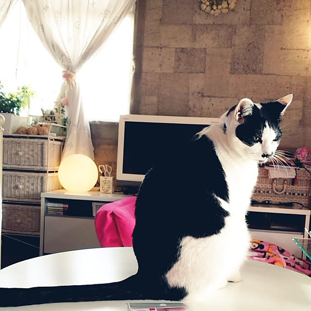 asuminさんの実例写真