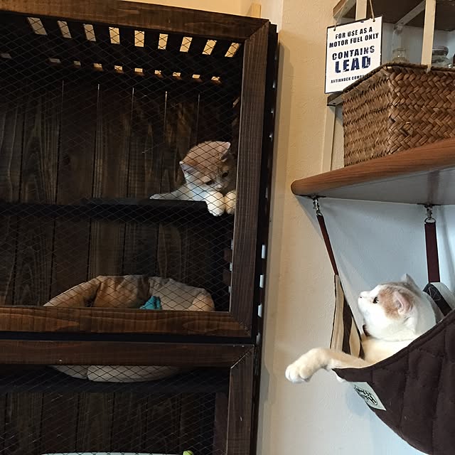 onojiijiさんの実例写真
