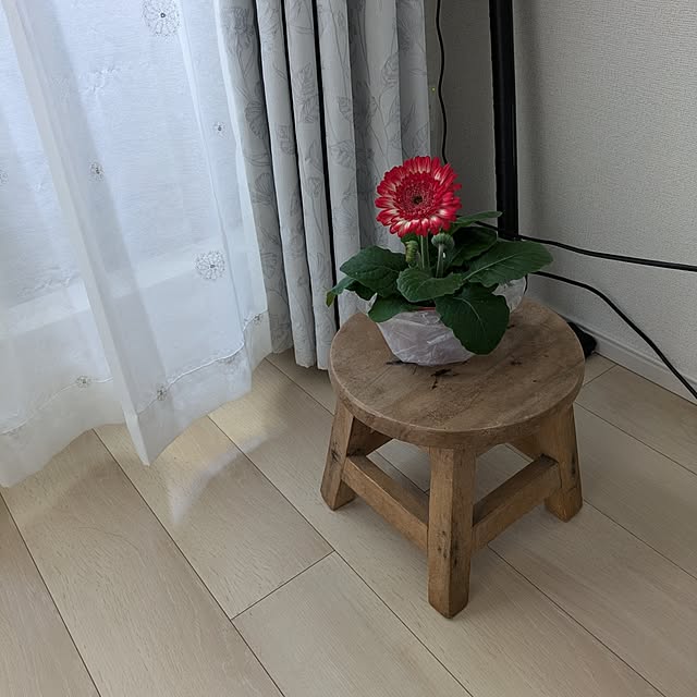 minnieさんの部屋