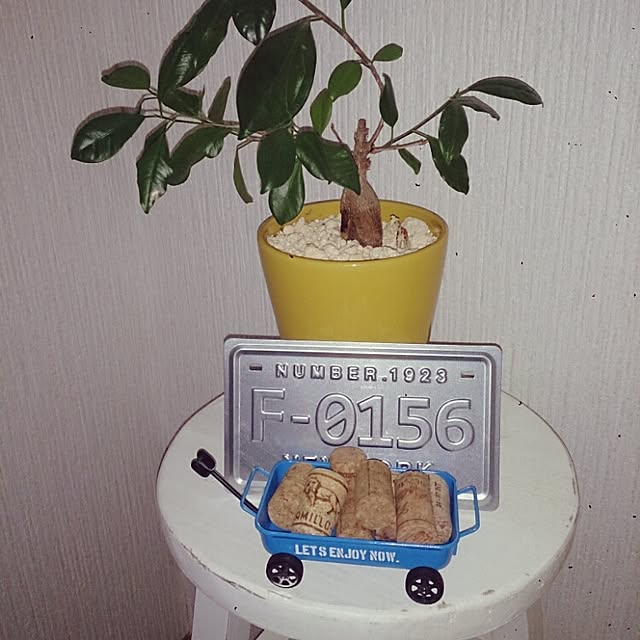 445bさんの実例写真