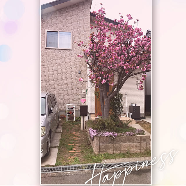 rizumu4649さんの実例写真