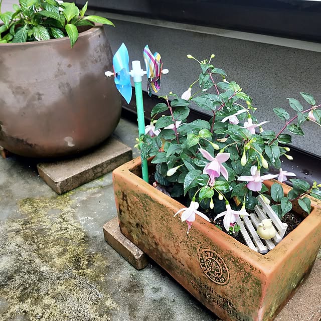 roomicさんの部屋