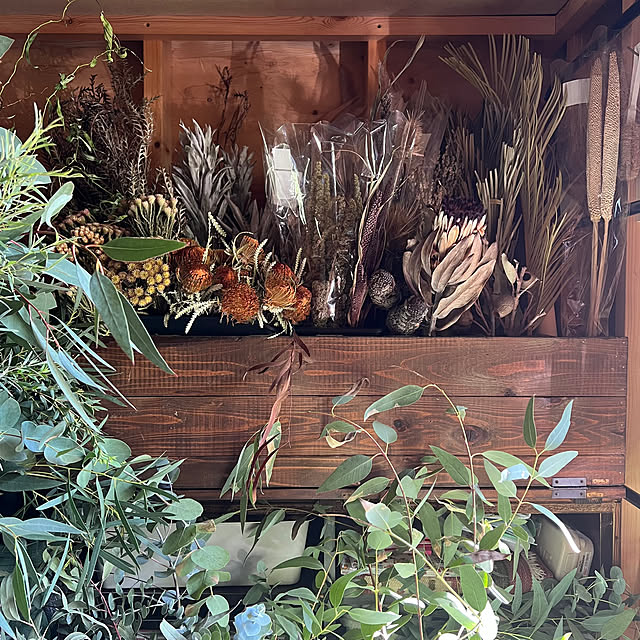 kinari.akariさんの部屋
