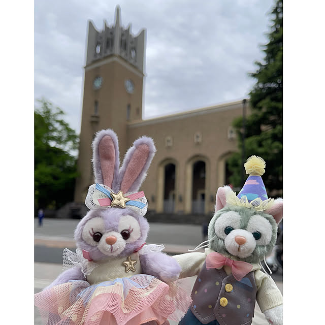 roserose555さんの実例写真