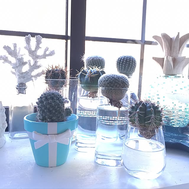 TiffanyTさんの実例写真